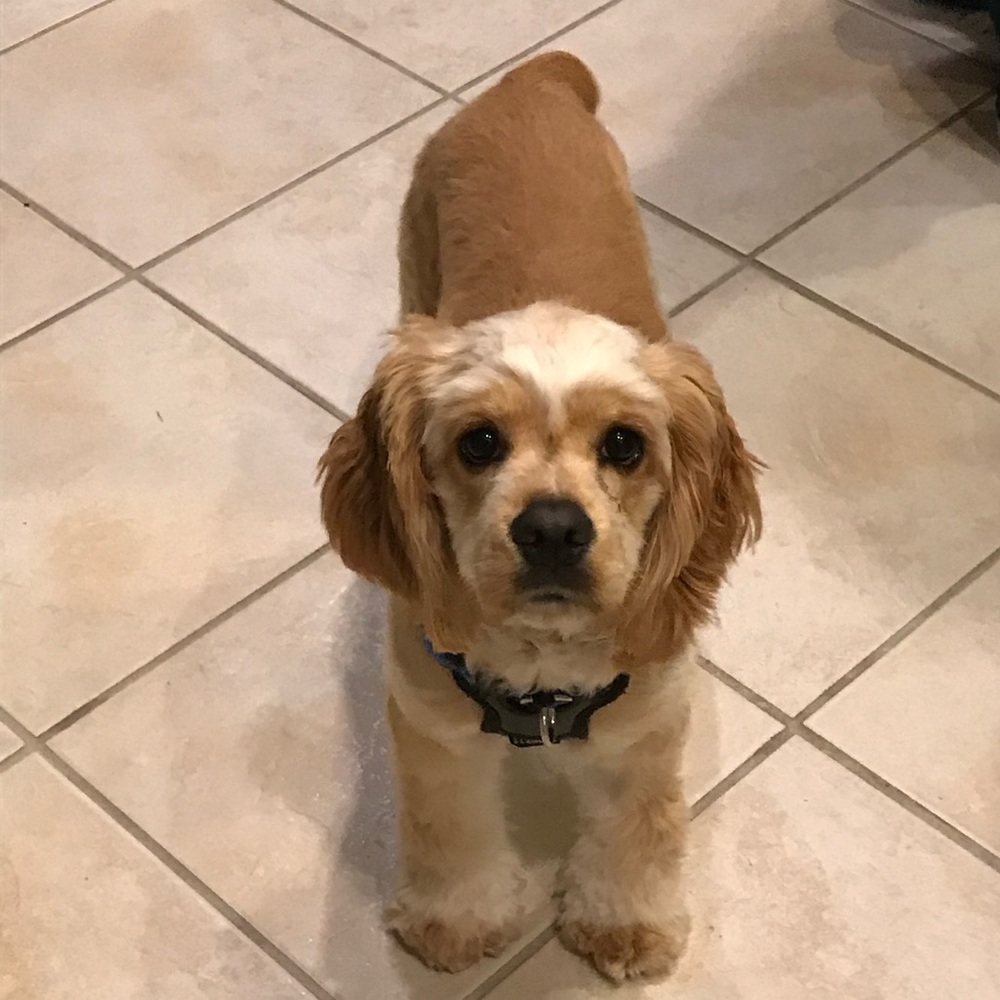 Meet your Posher, Jessica